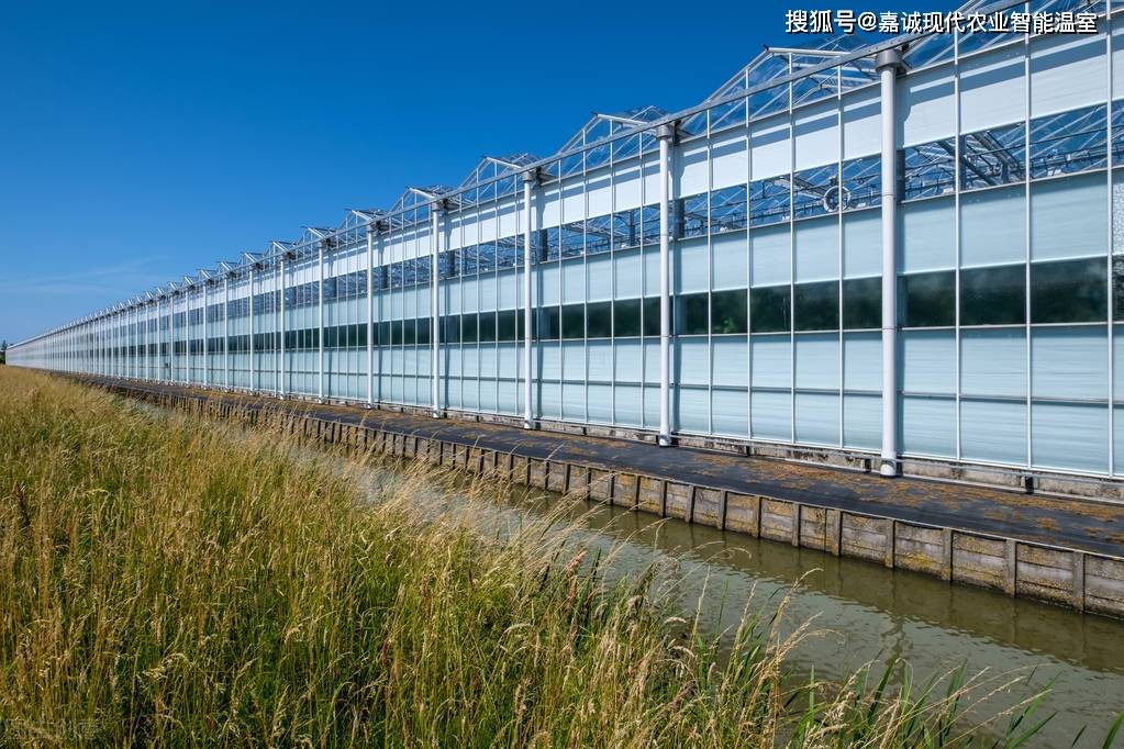 荷蘭先進設施農業公司發展對國內現代農業的啟示