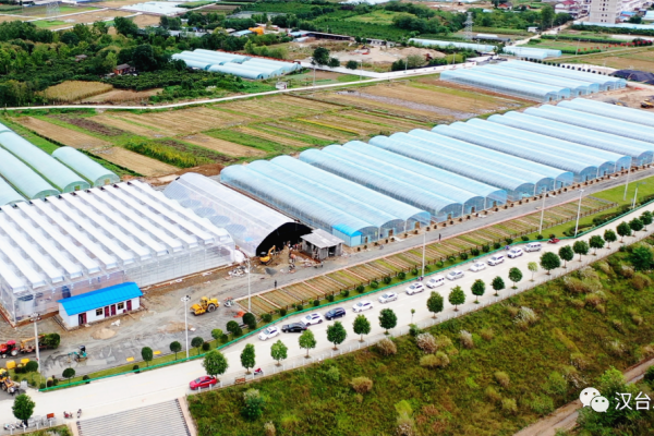漢中市2023年三季度重點項目觀摩走進漢臺 農業溫室項目引領鄉村振興新篇章