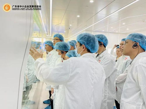 會員專享 探秘世界一流透明工廠，開啟工業智造新視界